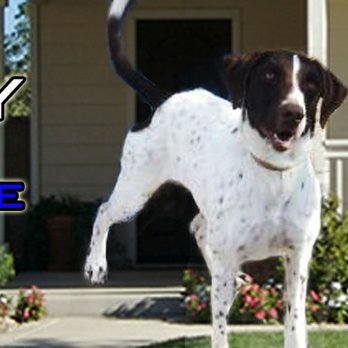 Pest Arrest - Pest Control Near Me - Spring, Texas Pest Arrest - Pest Control Near Me - Spring, Texas