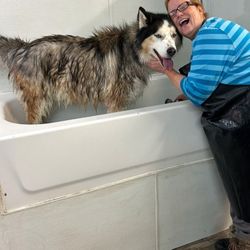 user provided Cute Cuts photo