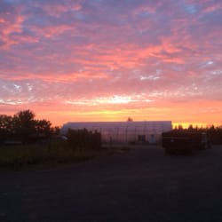 The view of the greenhouse...