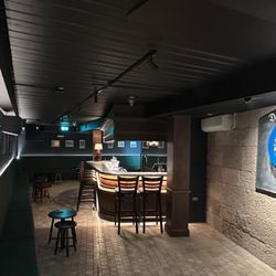 Light Up Kingsford - The Lord Dudley Hotel LED lighting and a track system to highlight specific wall panels.