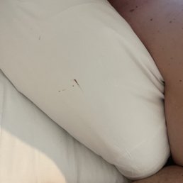 Blood stains on the other side of bf pillow? Gross Blood stains on the other side of bf pillow? Gross