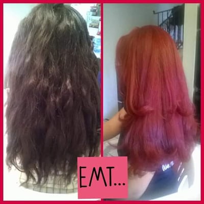 Cannella School of Hair Design by null