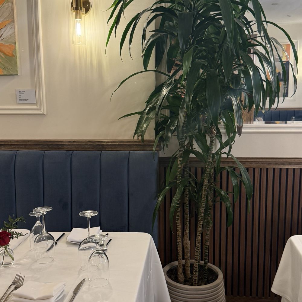 Adria - Mediterranean Near Me - New York, New York