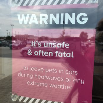 PetSmart - PSA - Pet Training Near Me - West Chester, Ohio