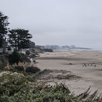 Seabright Beach - Area around the beach - Beaches Near Me - Santa Cruz, California Seabright Beach - Area around the beach - Beaches Near Me - Santa Cruz, California