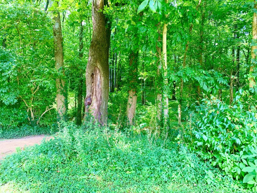 VETERANS PARK Updated July 2024 24 Photos 650 Southpoint Dr