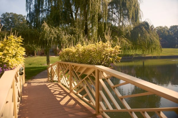 Boar's Head Resort by null