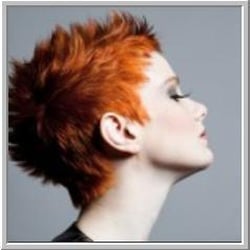 Salon Norman Dee