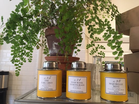 Homecoming by null Homecoming by null