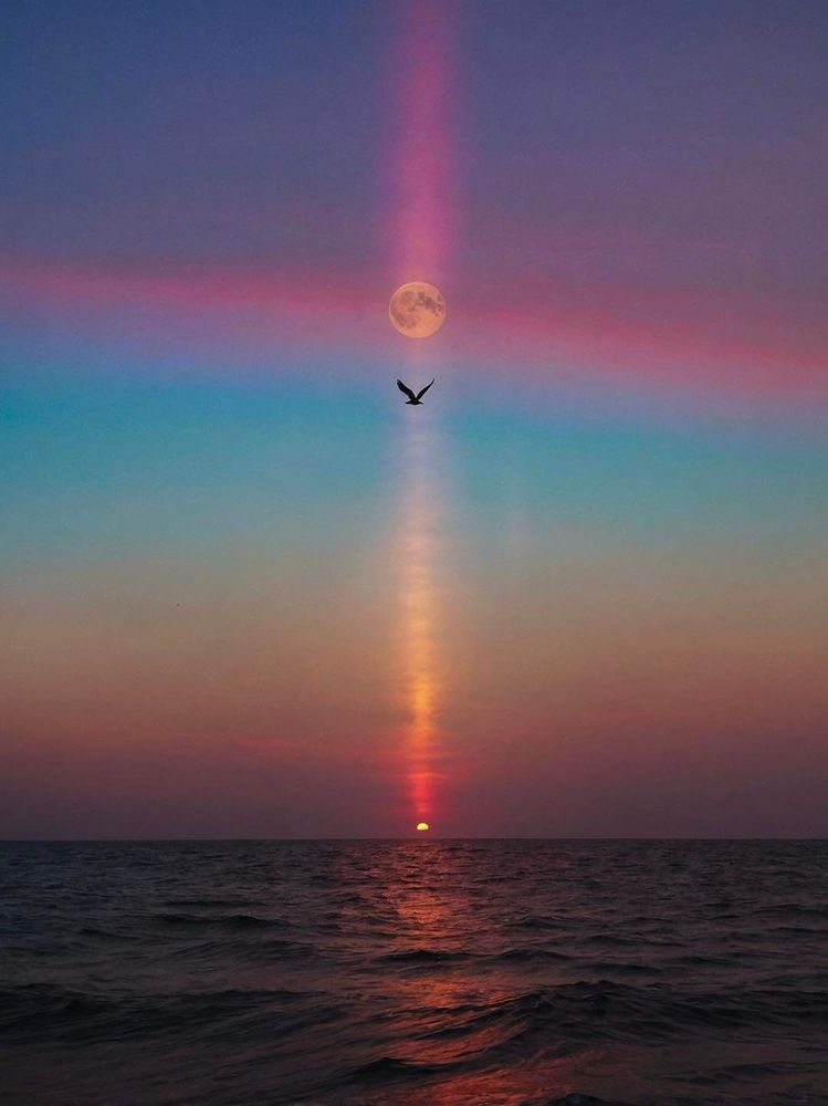 Divine Soul Connection - grief counselor in Scottsdale, AZ