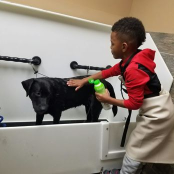 Happy Hound - Lather up Marco! - Pet Stores Near Me - Leesburg, Virginia