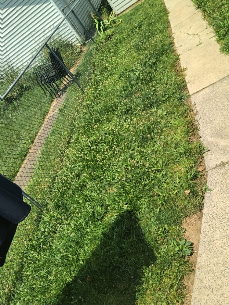 Slide of Caleb Landscaping