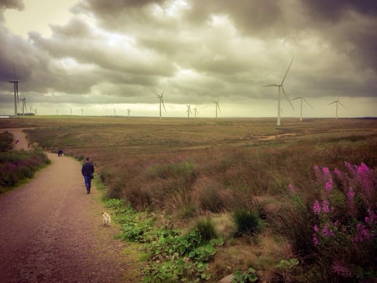 Whitelee wind farm by null
