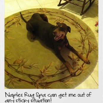 Naples Rug Spa - Carpet Cleaning Near Me - Naples, Florida