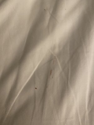 The Oaklander Hotel, Autograph Collection by null