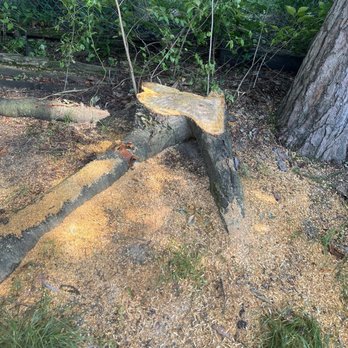 Heeter Enterprises Tree Service and Landscaping - Tree stump - Landscaping Near Me Heeter Enterprises Tree Service and Landscaping - Tree stump - Landscaping Near Me