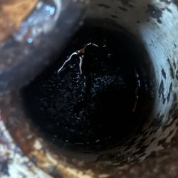 New Beginnings Comprehensive Women's Healthcare - Disgusting place