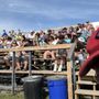 Photo of Alden Championship Rodeo & Bull Riding