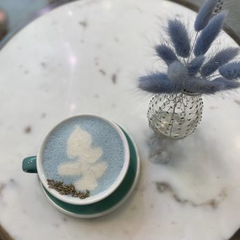 Coffee and Plants - Coffee & Tea Near Me - Pasadena, California