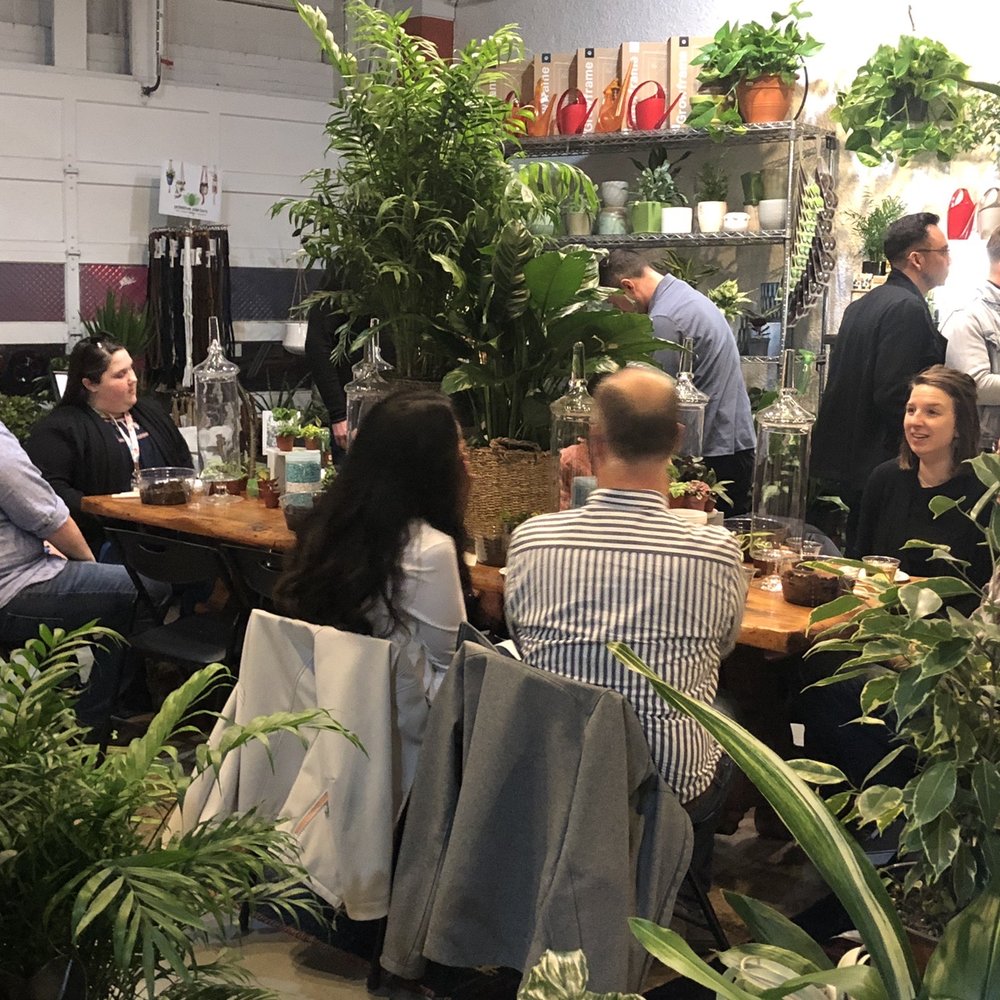 Plant Garage - Terrarium class - Home Decor Near Me - Denver, Colorado Plant Garage - Terrarium class - Home Decor Near Me - Denver, Colorado