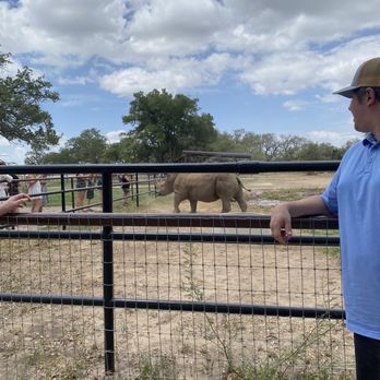 Rhinory - Wineries Near Me - Fredericksburg, Texas