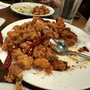 EMei - Chongqing Spicy Chicken 重庆辣子鸡 had a great fry. I prefer more spice, but that didn't detract from the flavor. - Szechuan Near Me - Philadelphia, Pennsylvania