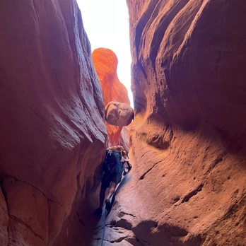 Red Desert Adventure - Tours Near Me