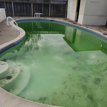MB Pool Service - Algae problem, before picture - Pool Cleaners Near Me - Hayward, California MB Pool Service - Algae problem, before picture - Pool Cleaners Near Me - Hayward, California