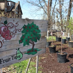 Evergreen Landscaping & Garden Center