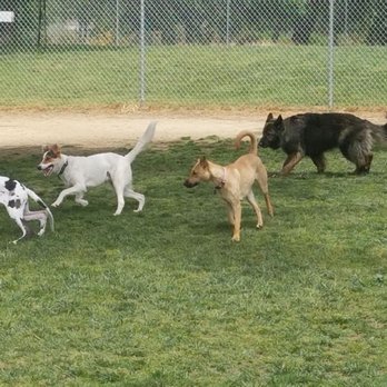 Morgan Hill Dog Park - Dog Parks Near Me - Morgan Hill, California Morgan Hill Dog Park - Dog Parks Near Me - Morgan Hill, California