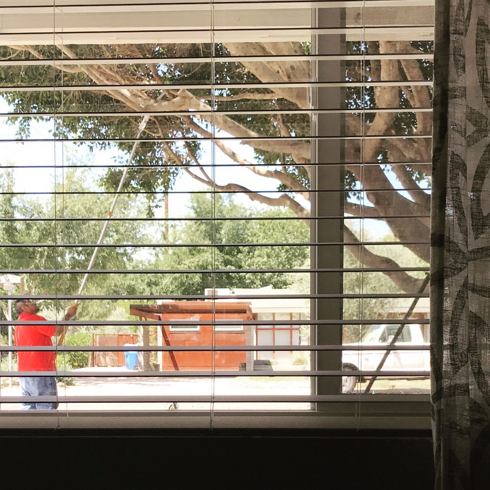 The Hungry Tree - tree service in Phoenix, AZ