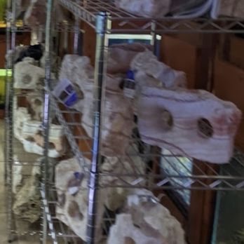 One Fish Two Fish - Local Fish Stores Near Me - Brodheadsville, Pennsylvania