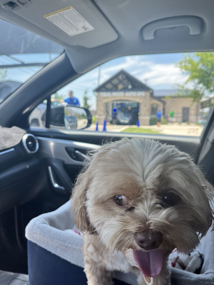 TIDAL WAVE CAR WASH Updated September 2024 25 Photos & 12 Reviews