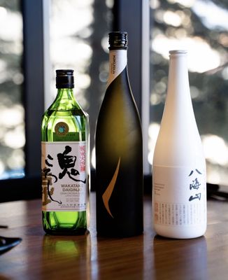 Kenichi Snowmass by null