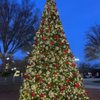 The Avenue Peachtree City gift card