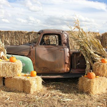 7th Generation Farm - Farms Near Me - Louisville, Colorado