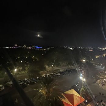 Birchwood Canopy - Bars Near Me - St. Petersburg, Florida