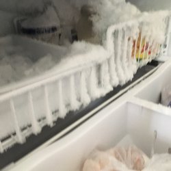 Coast Appliances - Nanaimo - The freezer of our brand new fridge...