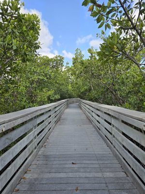 Anne Kolb Nature Center by null