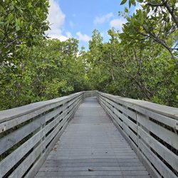 Anne Kolb Nature Center - Walkway