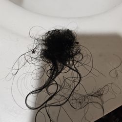 Family Dollar - My hair today 6/15/25 clump that fell out