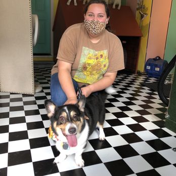 Ash Way Pet Supply - Boba's groomer - Pet Stores Near Me - Everett, Washington