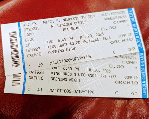 Mitzi E. Newhouse Theater by null