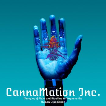 CannaMation - Automation bridging human and robotics allowing our clients to utilize existing labor in critical-thinking, non-repetitive areas. - Pain Management Near Me CannaMation - Automation bridging human and robotics allowing our clients to utilize existing labor in critical-thinking, non-repetitive areas. - Pain Management Near Me