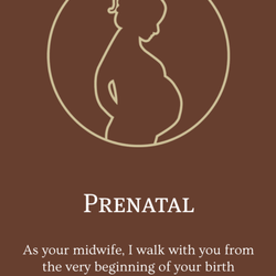 She Shall Rejoice Midwifery