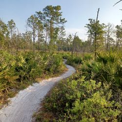 Little Big Econ State Forest