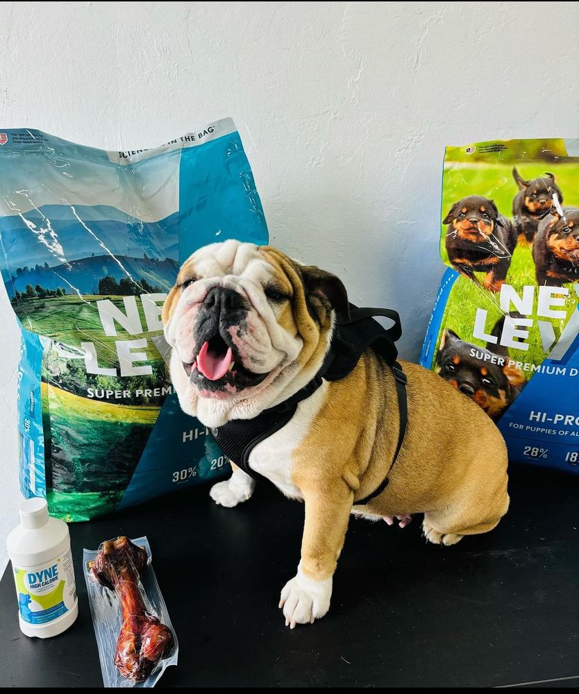 MR & MRS Updated October 2024 Request an Appointment 1014