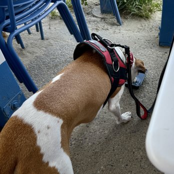 Cisco Kitchen & Bar - Ernie having his beverage - Breweries Near Me - New Bedford, Massachusetts