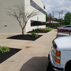 Royal Lawns Landscape Management