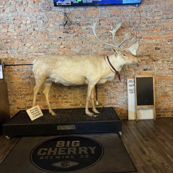 Big Cherry Brewing Company - Breweries Near Me - Big Stone Gap, Virginia Big Cherry Brewing Company - Breweries Near Me - Big Stone Gap, Virginia